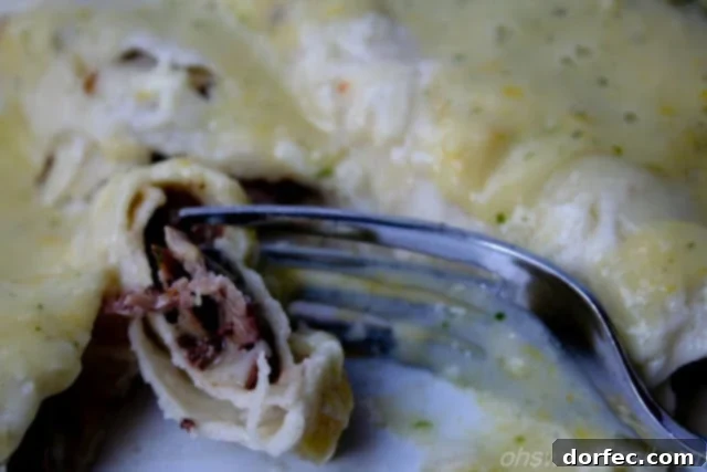 Sweet Corn Crema on Carne Asada Enchiladas