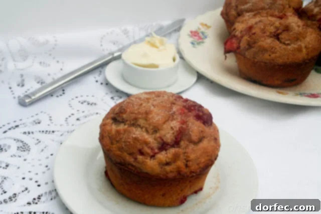 Homemade Strawberry Muffins 4 Close-up of a single, perfectly baked whole wheat strawberry muffin with cinnamon sugar topping.