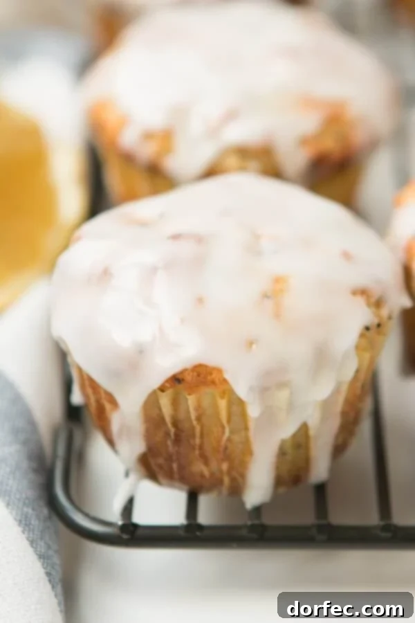 Homemade Strawberry Muffins 6 Best lemon poppy seed muffins ohsweetbasil.com