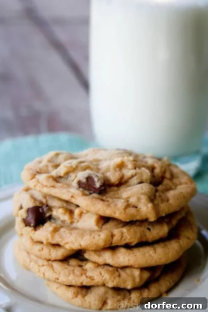 Deliciously soft peanut butter chocolate chip cookies cooling on a rack, inviting a warm bite