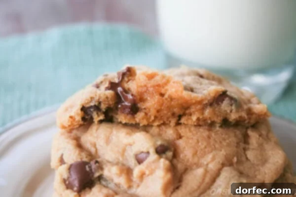 Freshly baked peanut butter chocolate chip cookies with melted chocolate chips, ready to be enjoyed