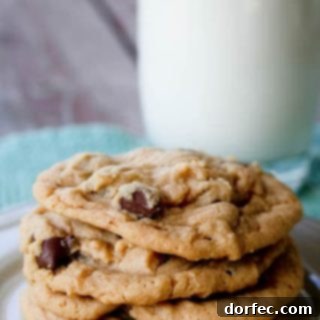 Close-up of baked peanut butter chocolate chip cookies