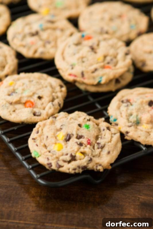 Close-up of a freshly baked Peanut Butter Chocolate Chip Cookie, showcasing its chewy texture and delicious mix-ins.