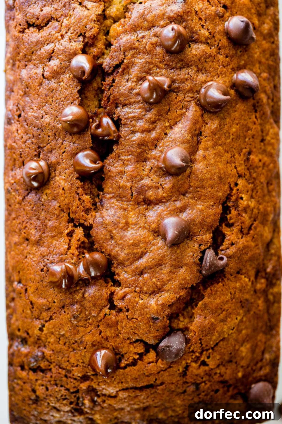 Biscoff cookies are incredible on their own, but transforming them into a spread for this banana bread creates an entirely new sensation. This Biscoff banana bread is remarkably soft, sweet, and wonderfully moist—a top contender for the best banana bread ever!