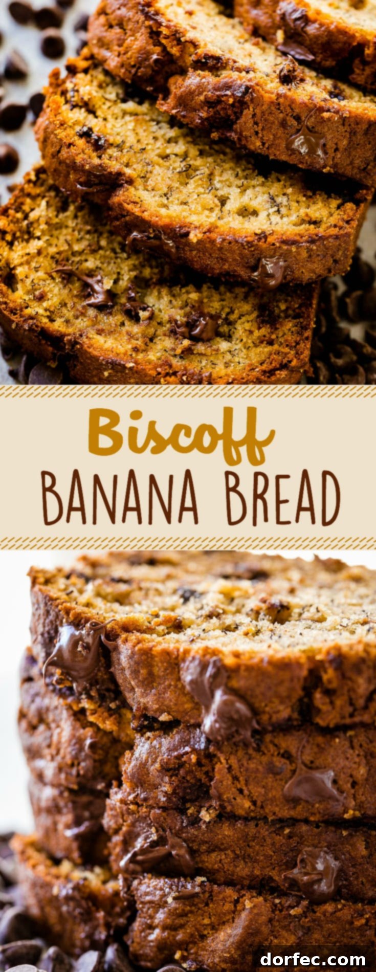 This Biscoff Banana Bread recipe has become our hands down favorite new way to make banana bread. The flavor from the Biscoff is subtle and so good!