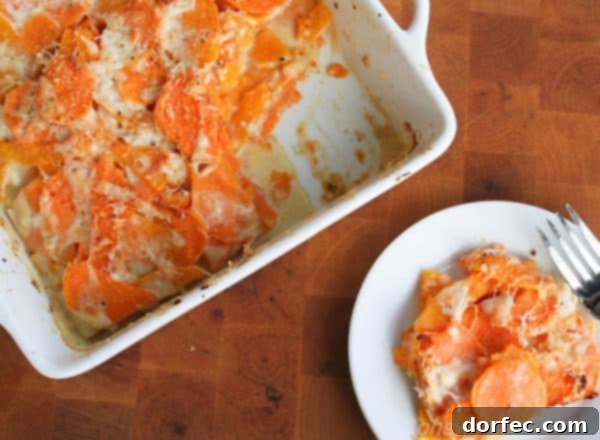 Golden Sweet Potato and Butternut Bake 2 Delicious Sweet Potato and Butternut Squash Gratin in a baking dish