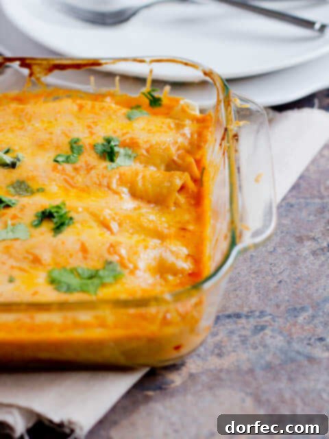 A plate of delicious Bean and Cheese Enchiladas, smothered in sauce and cheese, offering a comforting and flavorful meal.