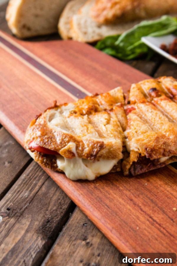 Gooey Sun-Dried Tomato Pesto Panini Two halves of a delicious sun-dried tomato pesto panini with melted mozzarella