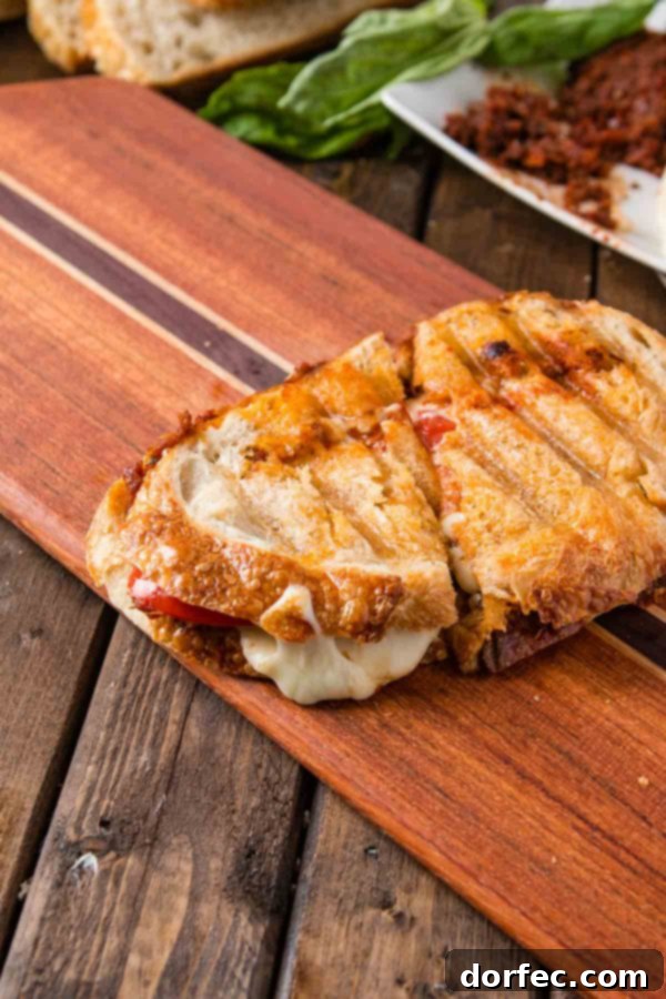Perfectly Grilled Sun-Dried Tomato Pesto Panini A freshly pressed Sun-Dried Tomato Pesto Panini with golden grill marks and melted cheese