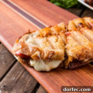 Sun dried Tomato Pesto Panini with melted mozzarella and roasted tomatoes