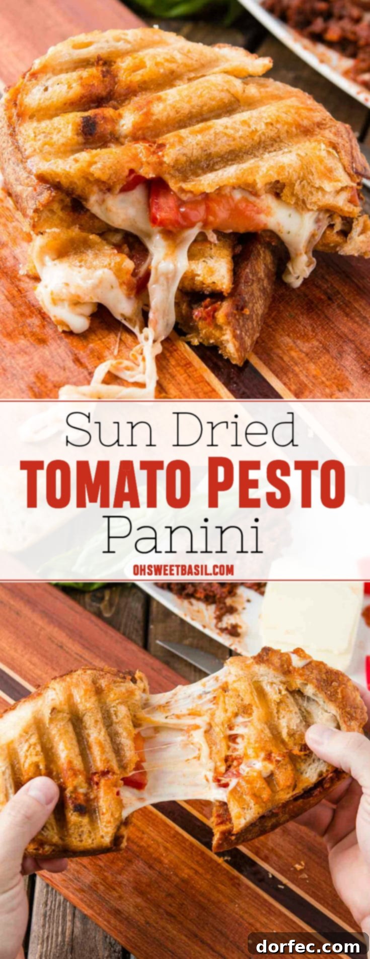 Golden Sun-Dried Tomato Pesto Panini 4 A beautifully toasted panini with a generous filling of sun-dried tomato pesto, mozzarella, and roasted tomatoes