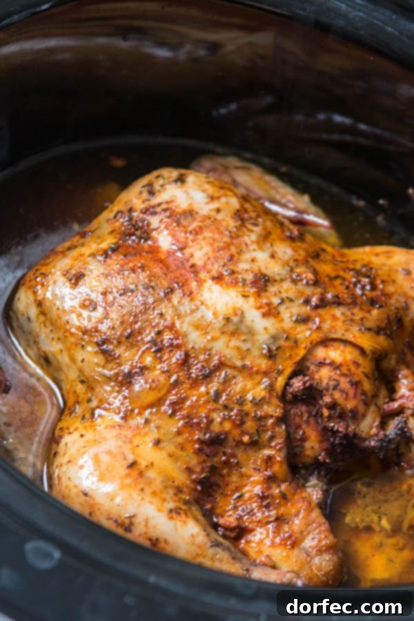 Enjoy a juicy, rotisserie-like chicken by only using a crockpot. Slow cooker whole chicken that anyone can make! A succulent whole chicken cooking effortlessly in a slow cooker.