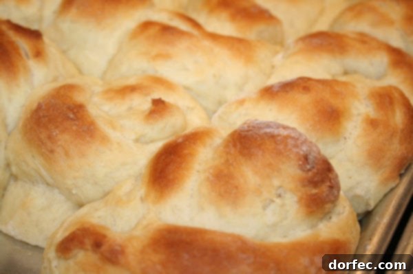 An appetizing close-up of a Thanksgiving side dish, possibly a savory casserole or gratin, golden brown and bubbly.