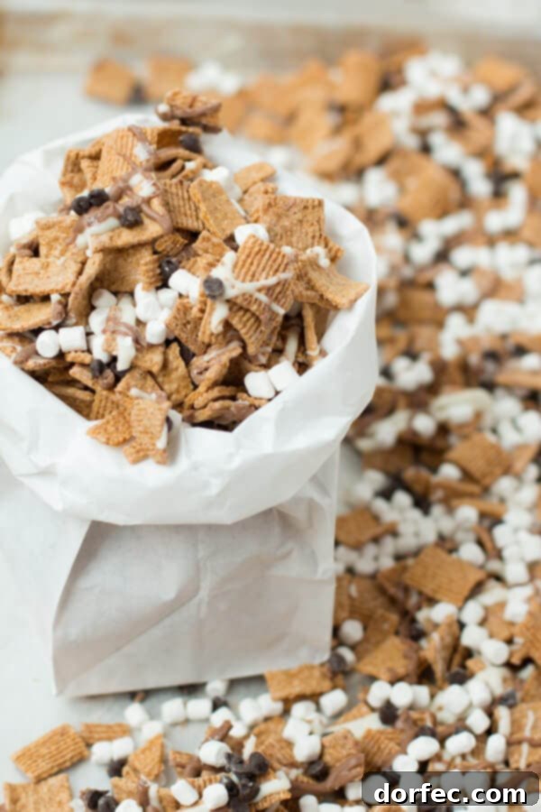 A close-up of a bowl filled with S'mores Munchies Mix, featuring golden grahams, chocolate chunks, and mini marshmallows, ready for snacking.