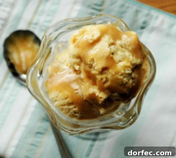 Creamy Dulce de Leche ice cream swirled in a bowl, ready to be enjoyed.