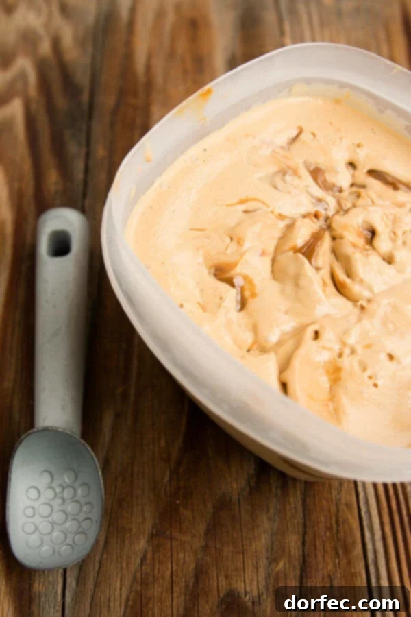 Close-up of a bowl of homemade dulce de leche ice cream, showing its rich texture.