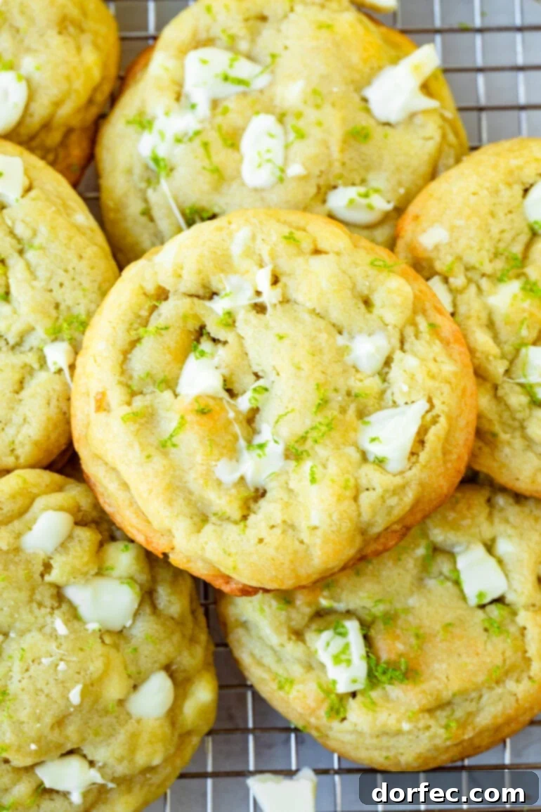 a photo of several golden baked cookies loaded with white chocolate chunks and lime zest.
