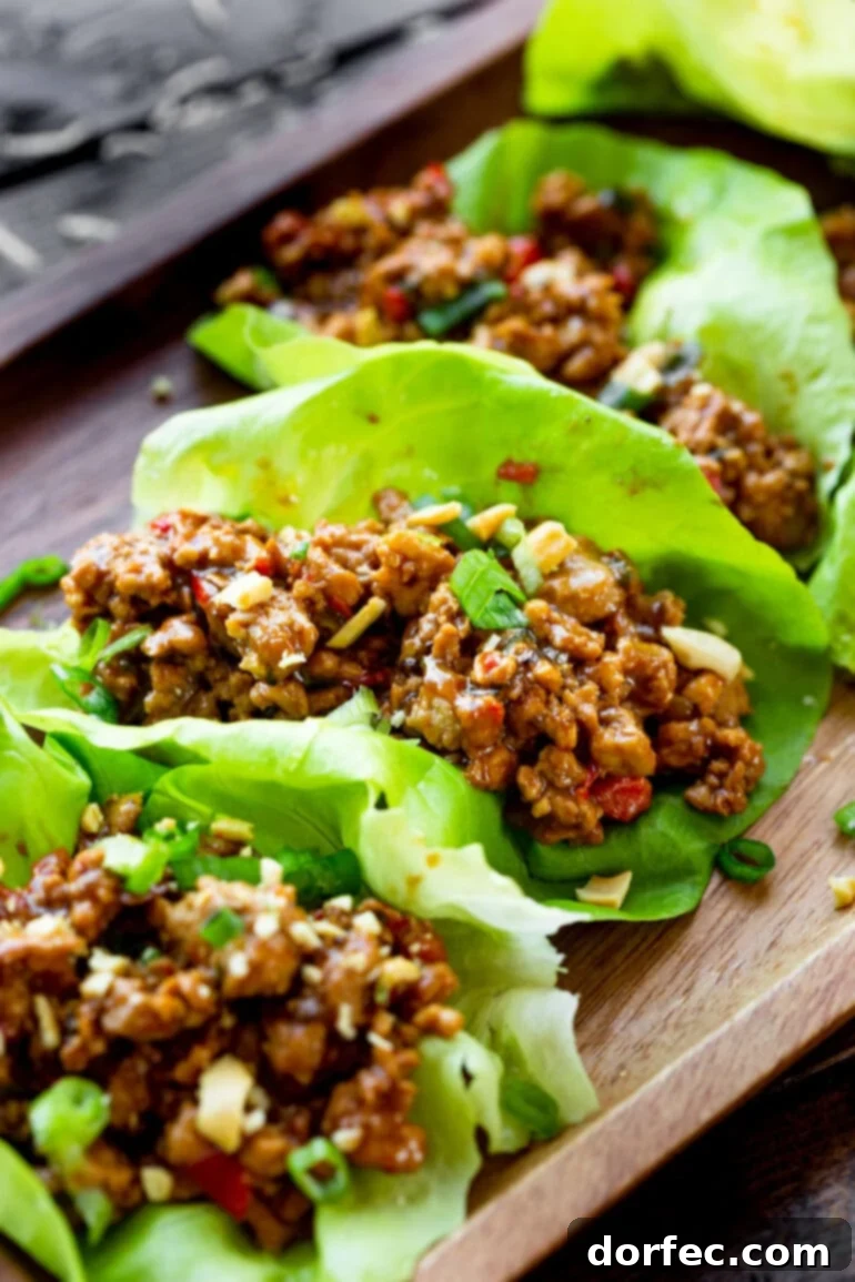 A tantalizing spread of several Thai peanut turkey lettuce wraps, showcasing their vibrant colors and saucy filling, ready for a delicious meal.