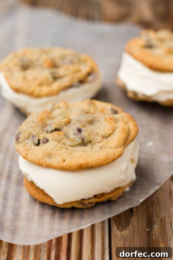 Homemade milk chocolate chip cookie ice cream sandwiches - a refreshing dessert