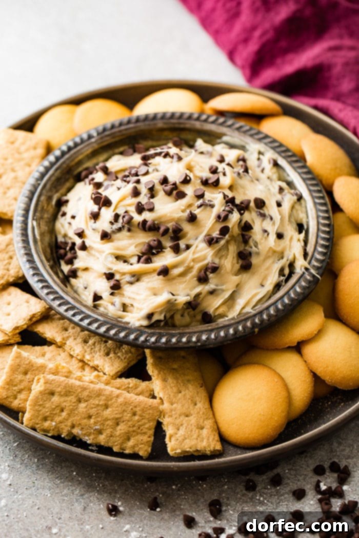 Edible Chocolate Chip Cookie Dough Dip 5 A metal bowl filled with easy chocolate chip cookie dough dip, surrounded by an assortment of graham crackers and vanilla wafers for dipping.