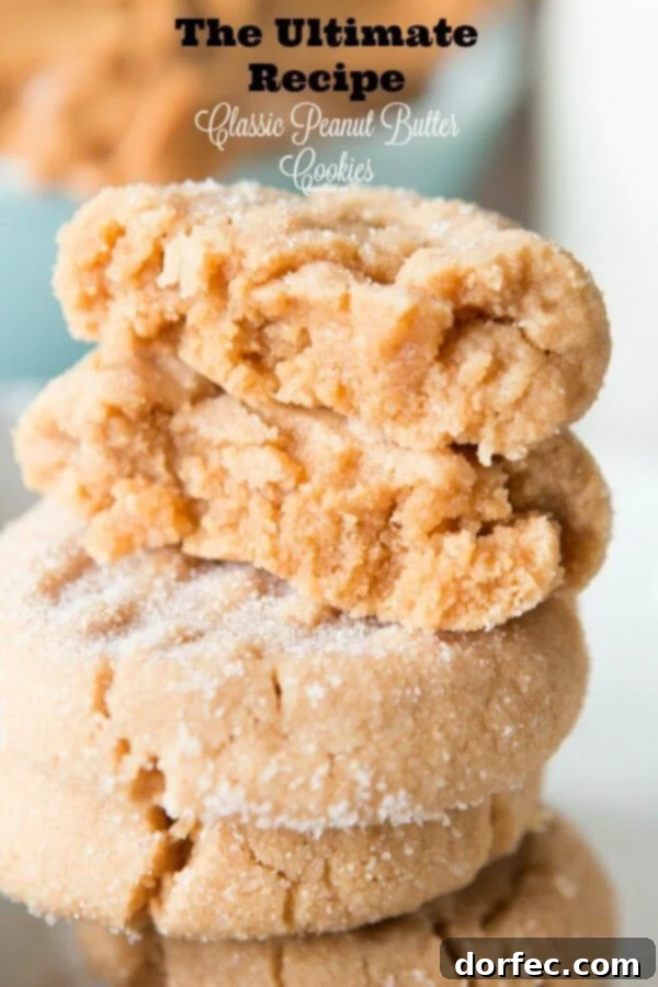 Classic Peanut Butter Cookie - soft, chewy, and perfectly simple