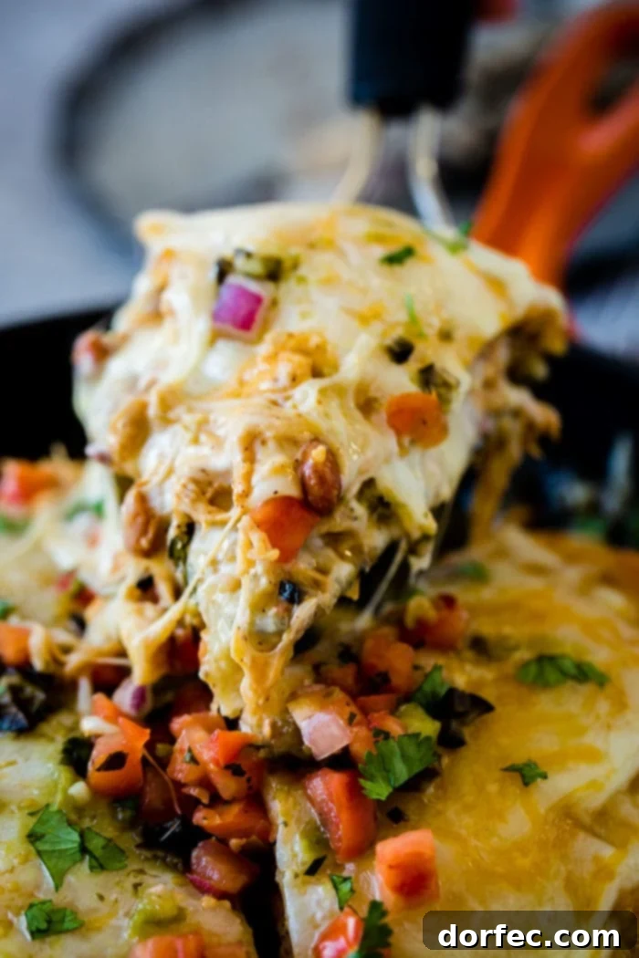 One Pan Honey Lime Chicken Enchilada Bake 2 Delicious One Skillet Honey Lime Chicken Enchiladas Casserole with melted cheese and fresh cilantro, perfect for an easy weeknight meal.