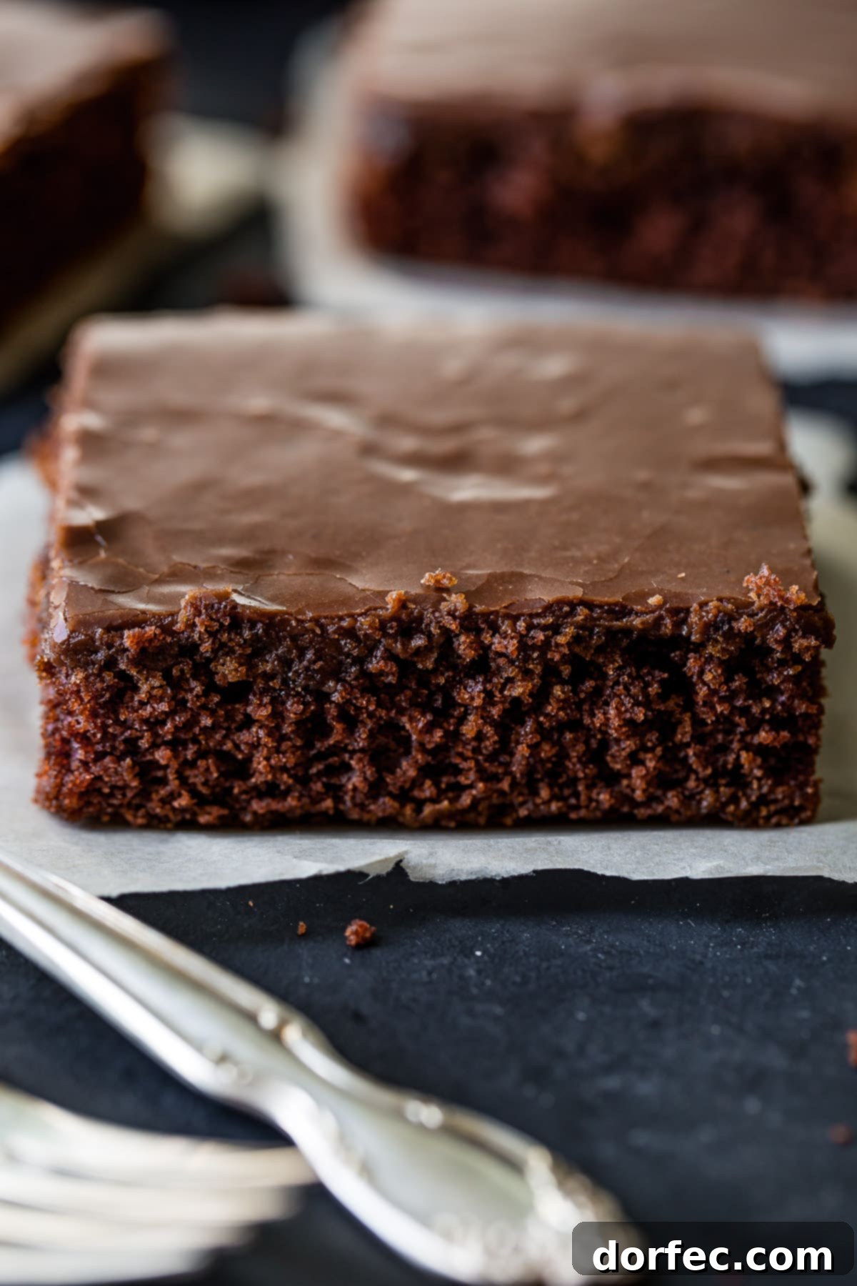 My mom's classic chocolate sheet cake recipe, a nostalgic favorite with a delicious cooked chocolate frosting. Perfect for any gathering.