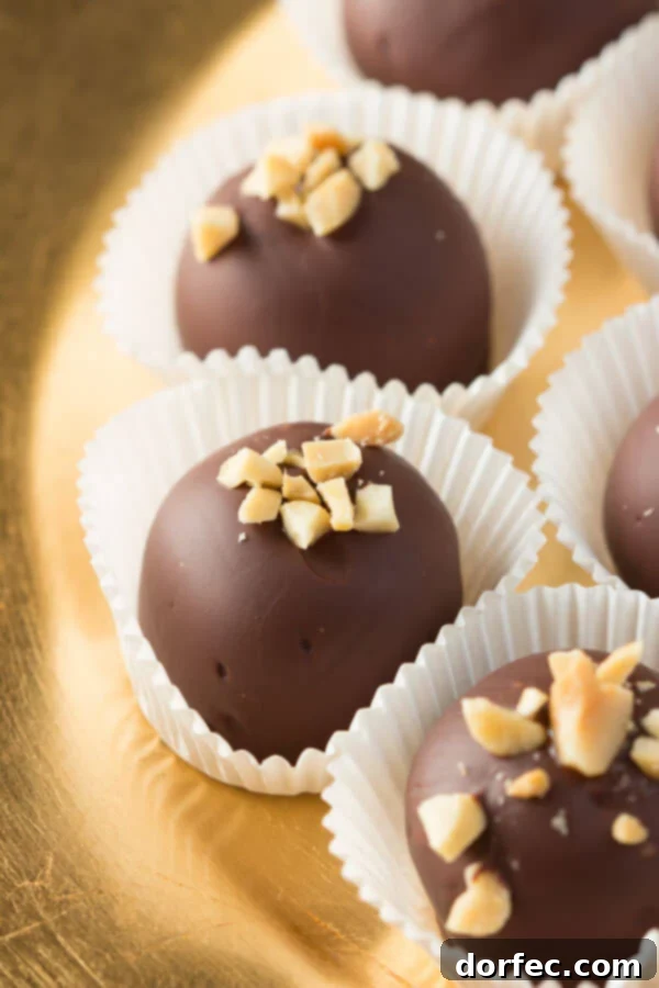Chocolate Peanut Butter Truffles on OhSweetBasil.com