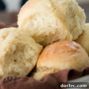 Easy and quick, these one hour rolls are a favorite! ohsweetbasil.com