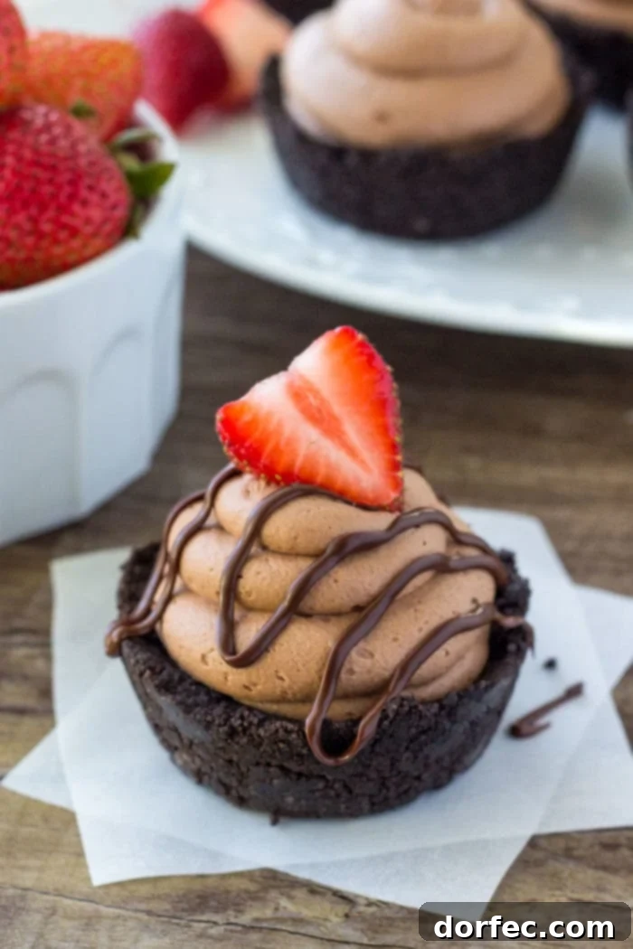 Effortless Chocolate Cheesecake Bites 2 Mini No Bake Chocolate Cheesecakes with a chocolate frosting, fudge drizzle and strawberry on top, showcasing rich chocolate and a delightful presentation.