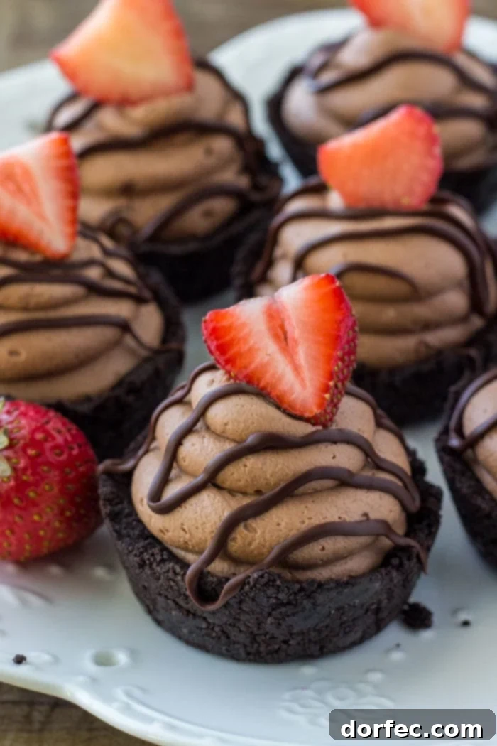 Effortless Chocolate Cheesecake Bites 3 Mini No Bake Cheesecakes with a chocolate frosting, fudge drizzle and strawberry on top, presented beautifully on a dessert platter.
