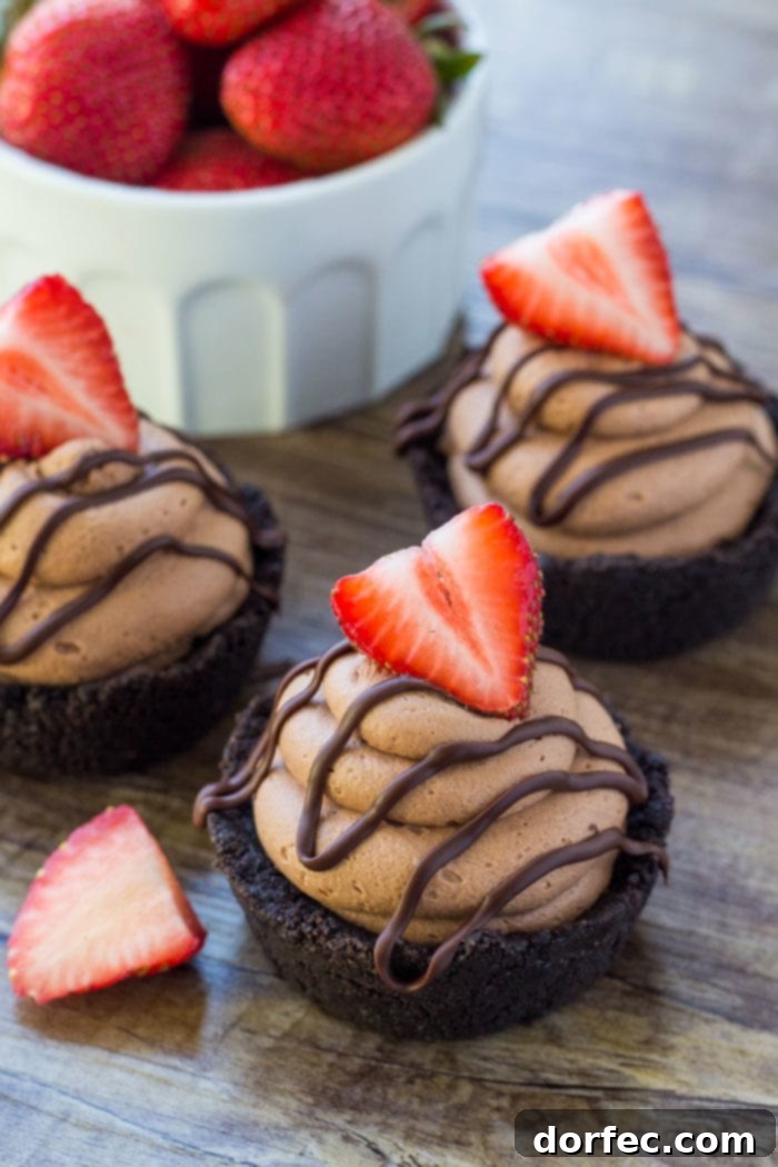 Effortless Chocolate Cheesecake Bites 5 No Bake Mini Chocolat Cheesecakes with a chocolate frosting, fudge drizzle and strawberry on top, showcasing the finished product ready to be enjoyed.