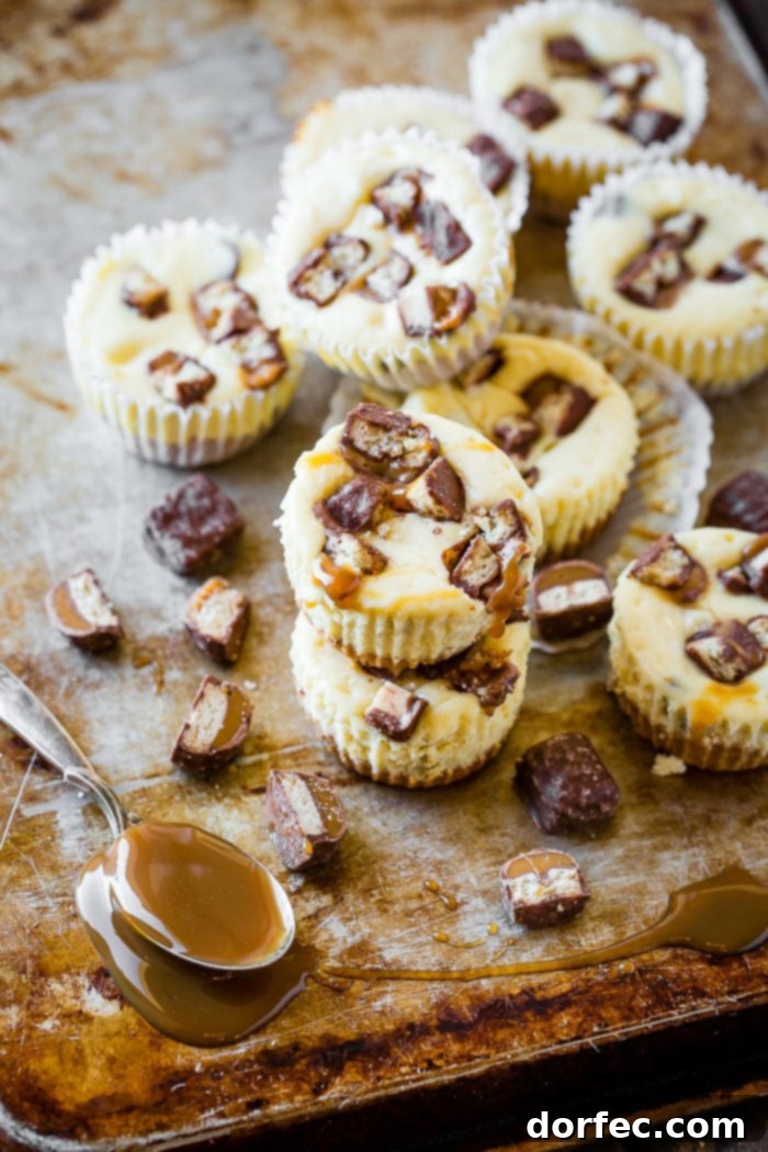 These little mini Twix Caramel cheesecakes are the easiest cheesecakes ever. You don't need a water bath, long list of ingredients or even much time. They are super easy to whip together and the majority of the time is actually just spent in the fridge!