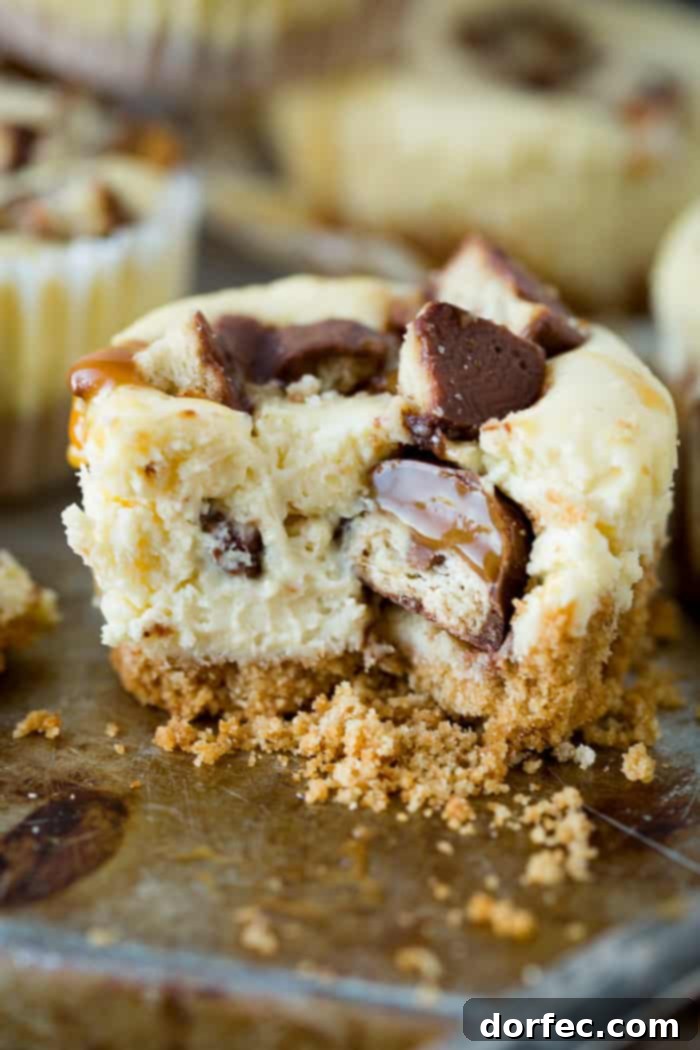 Creamy cheesecakes swirled with caramel and dotted with nuggets of Twix candy bars, these Mini Twix Caramel Cheesecakes are an easy cheesecake recipe!