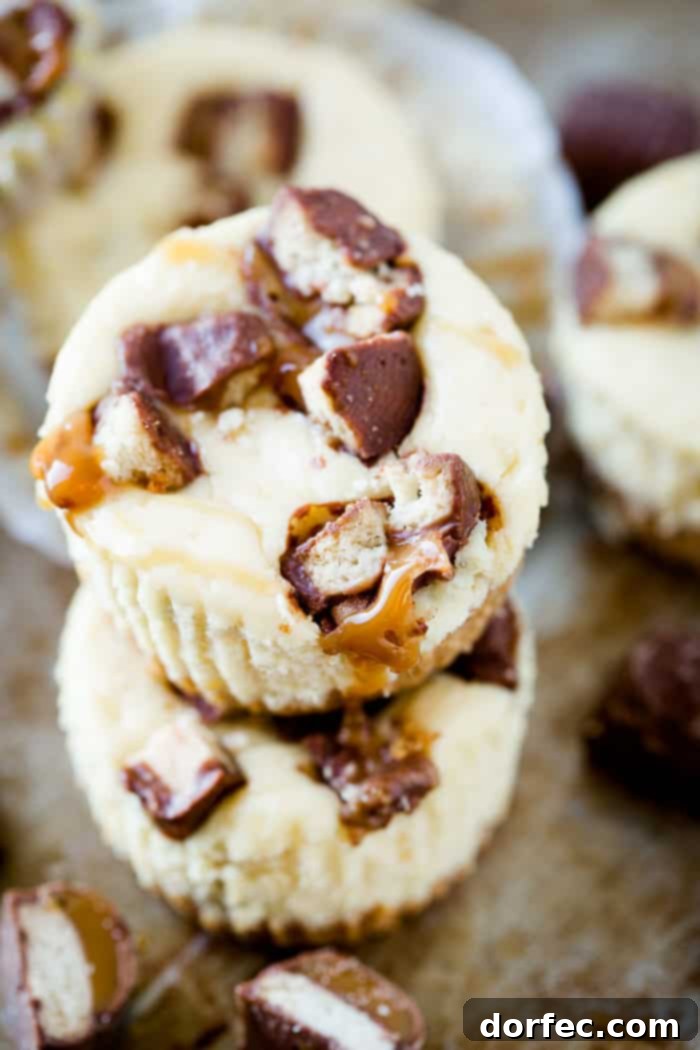 Creamy cheesecakes swirled with caramel and dotted with nuggets of Twix candy bars, these Mini Twix Caramel Cheesecakes are an easy cheesecake recipe!