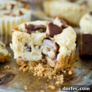 Creamy cheesecakes swirled with caramel and dotted with nuggets of Twix candy bars, these Mini Twix Caramel Cheesecakes are an easy cheesecake recipe! ohsweetbasil.com