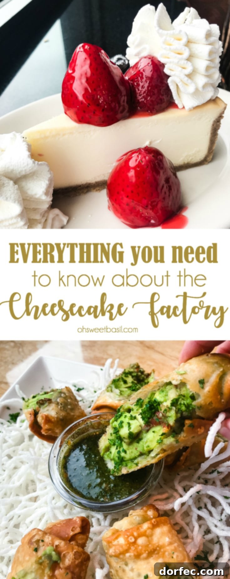 A comprehensive guide: Everything You Need To Know About The Cheesecake Factory, highlighting their made-from-scratch philosophy and diverse menu.