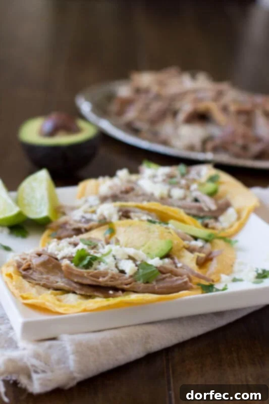 Juicy pork carnitas tacos are simply made in a crockpot with just a few ingredients that everyone has on hand and they turn out perfect every time! ohsweetbasil.com_-2