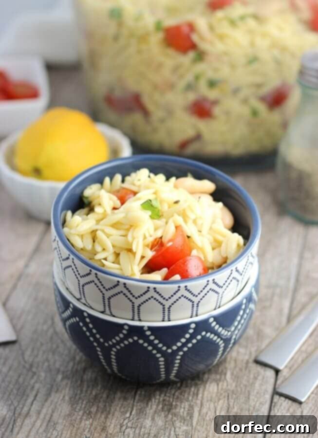 Lemon Orzo Pasta Salad with Fresh Basil and Tomatoes Lemon Orzo Pasta Salad - an easy pasta salad with fresh basil, tomatoes, cannellini beans, and almonds.
