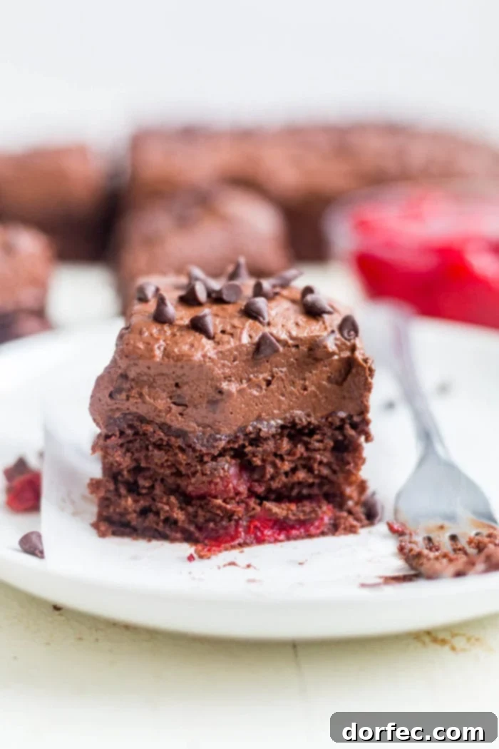 Decadent Chocolate Cherry Cake 2 slice of chocolate cherry cake on white plate with fork