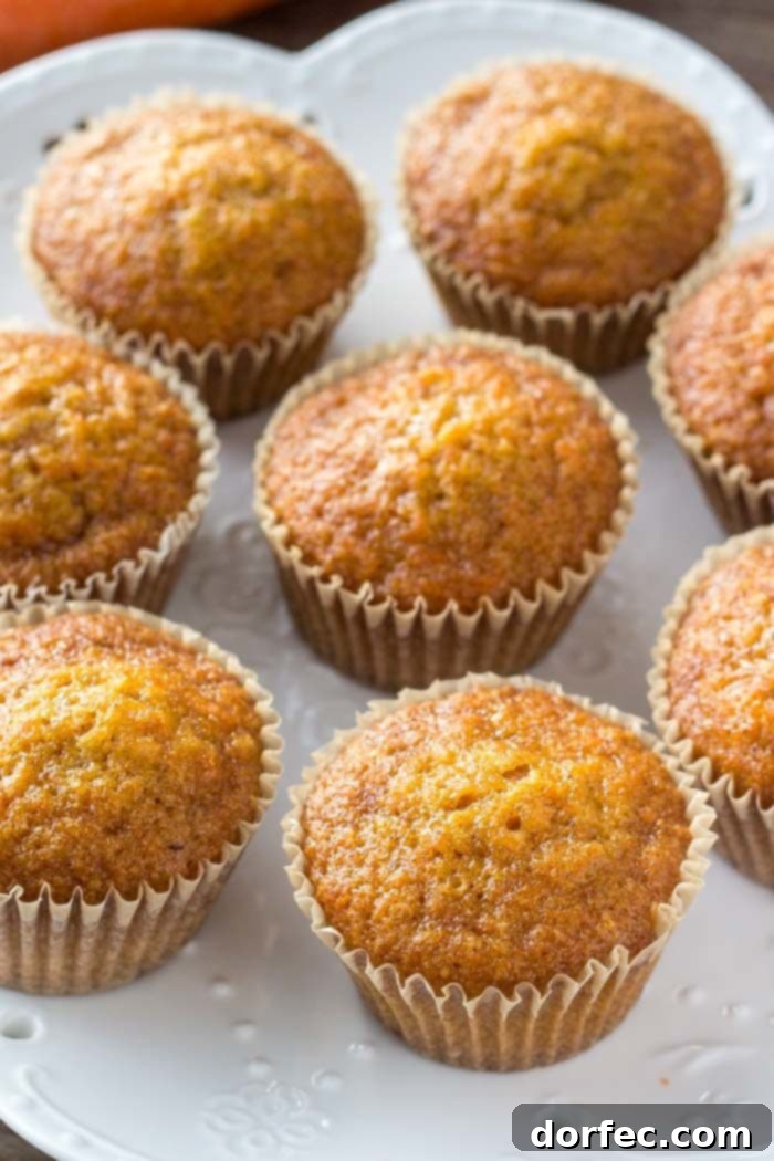 A plate of unfrosted carrot cake cupcakes, showcasing their perfectly baked, golden-brown tops and tender texture, ready for a generous dollop of frosting.