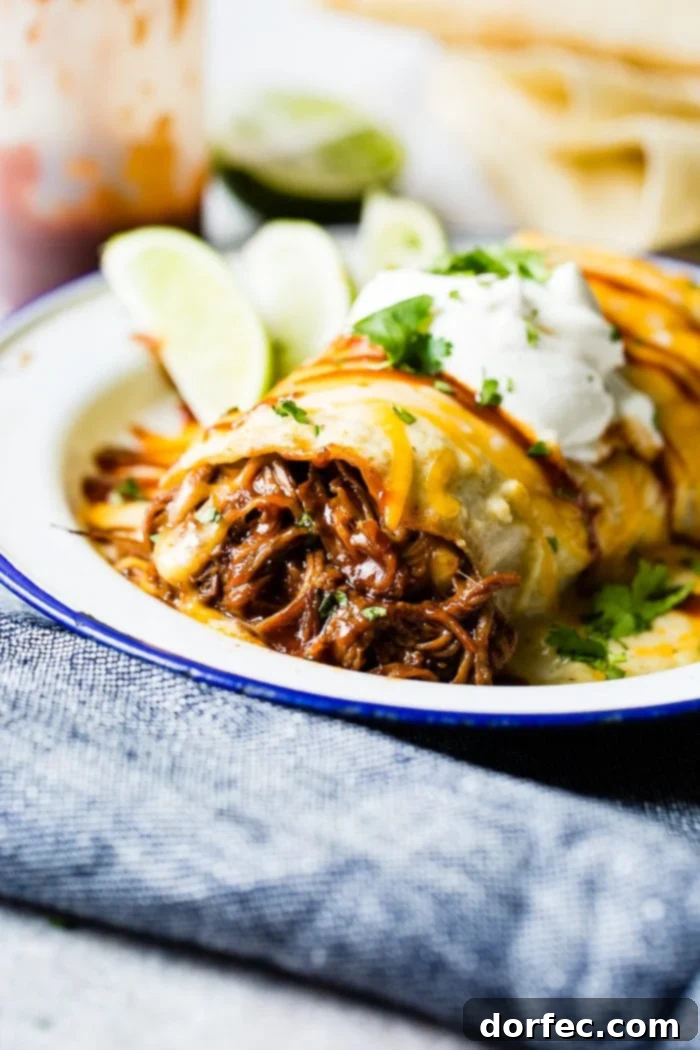 Shredded bbq beef that was made in an instant pot or slow cooker with melted cheese coming out of a burrito topped with sauce, cheese and sour cream and sprinkled with cilantro sitting on a white vintage plate with a blue border