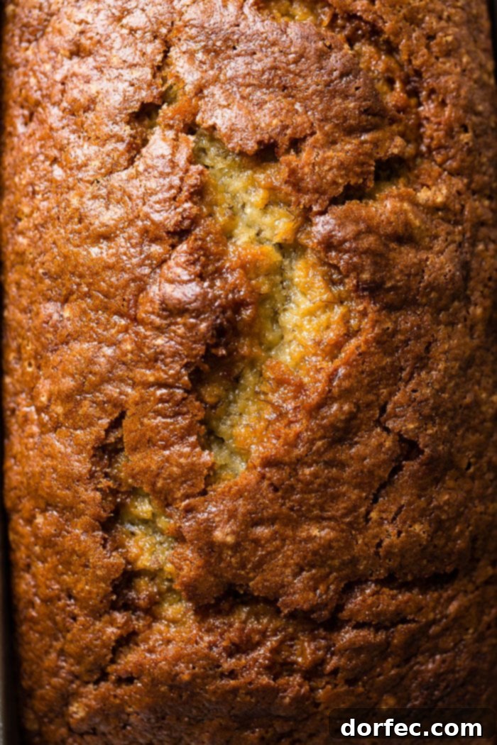 Irresistible Sour Cream Banana Bread 2 A close up of the top of the best sour cream banana bread recipe with a perfect crack going down the center