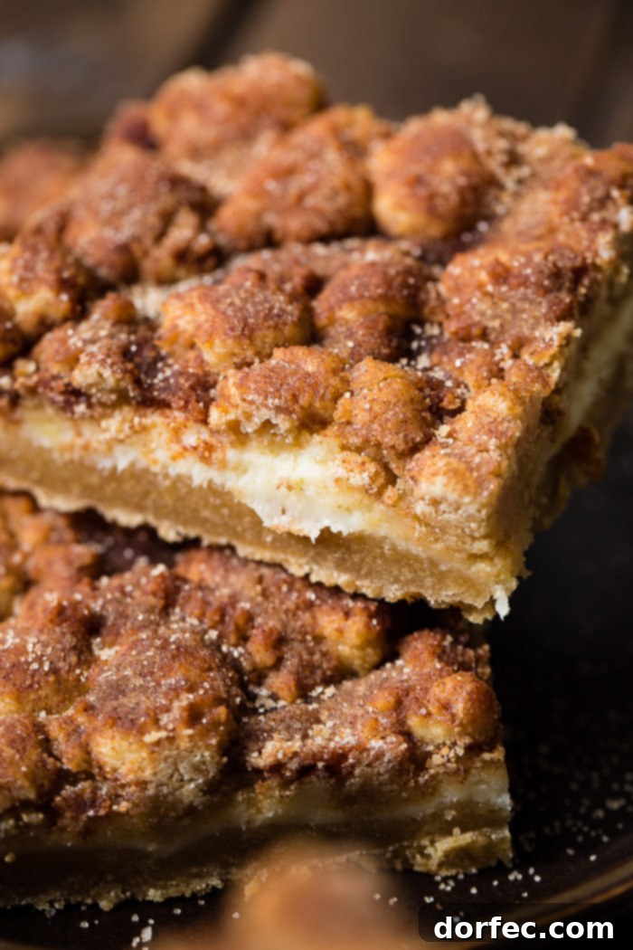 A single snickerdoodle cheesecake square sits perfectly atop another on a dark plate, showcasing its delightful layers and cinnamon-sugar topping.