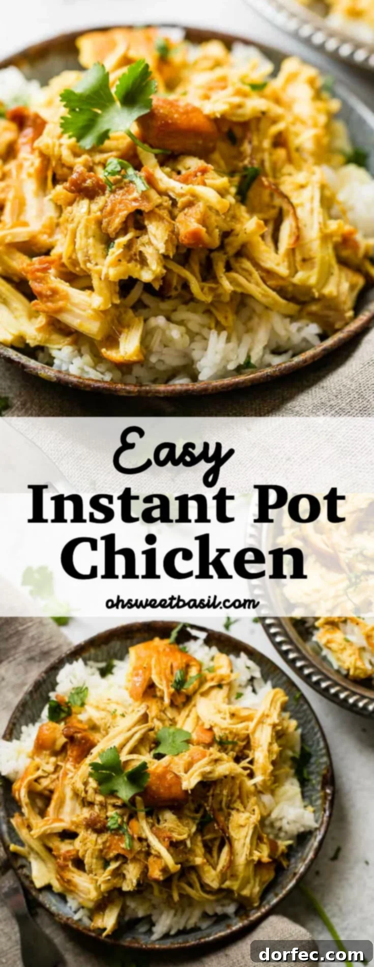 A metal, vintage bowl filled with white long grain rice and shredded chicken with a simple honey curry sauce made in an instant pot with cilantro on top. easy instant pot honey chicken