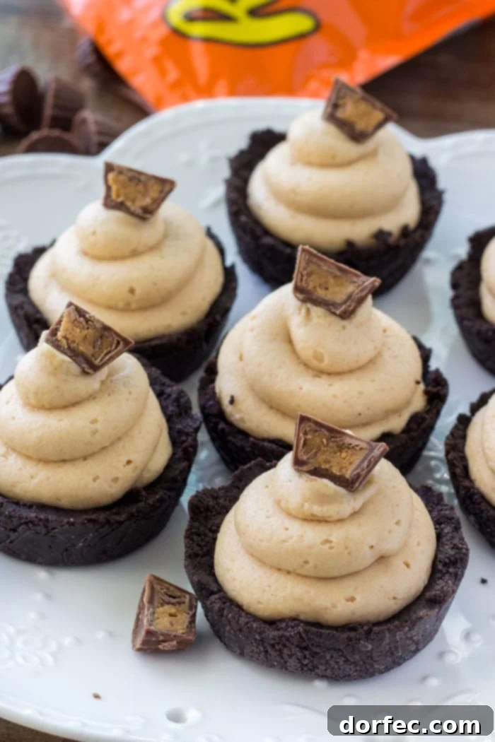 Simple steps to make creamy no-bake peanut butter cheesecake filling with just a few ingredients.