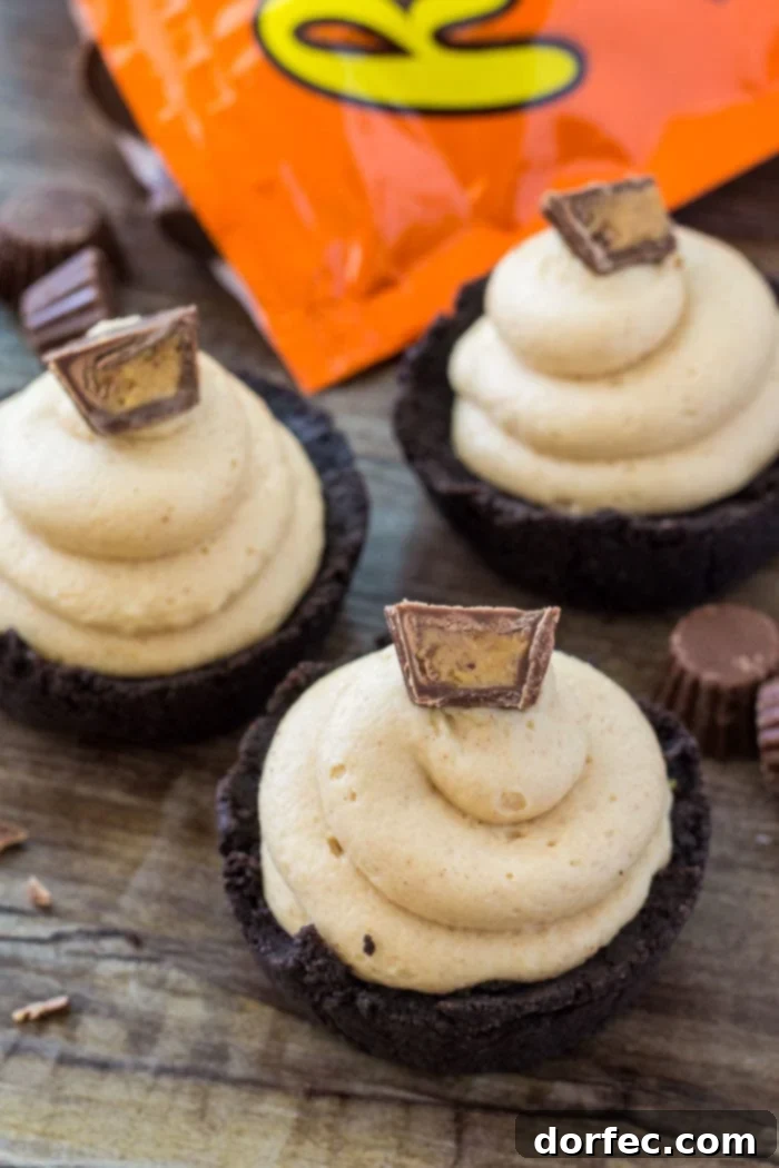 Finished No-Bake Mini Peanut Butter Cheesecakes, ready to be enjoyed.