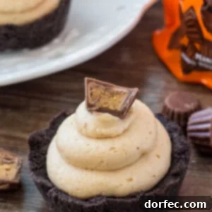 These no bake mini peanut butter cheesecakes are a completely adorable, creamy, salty-sweet peanut butter treat.