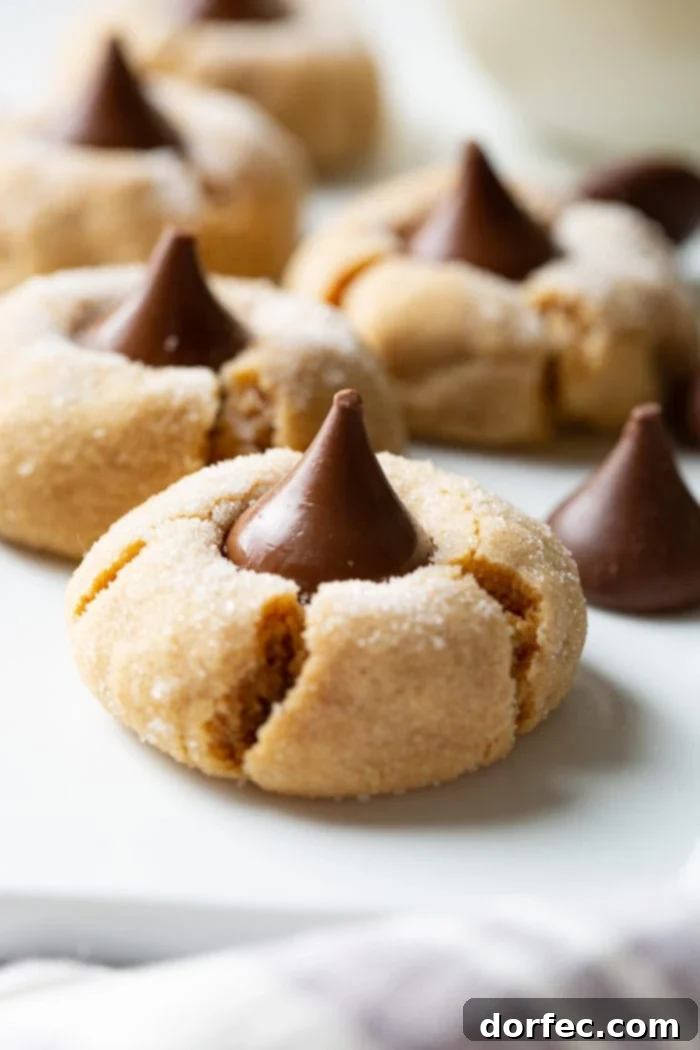 A perfectly baked Peanut Butter Blossom cookie with a slightly cracked Hershey's Kiss on top, presented on a clean background.