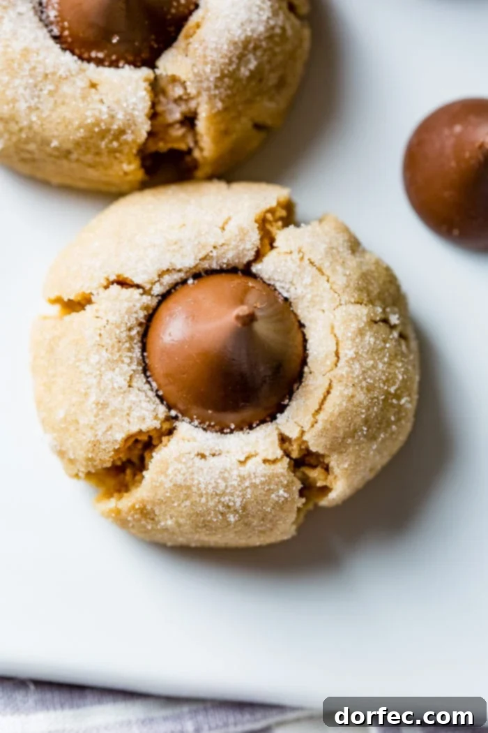 Close-up photo of a single Peanut Butter Blossom cookie on parchment paper, emphasizing its texture and the Hershey's Kiss.